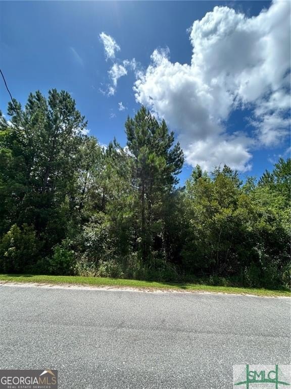 Residential Land in Midway, Georgia