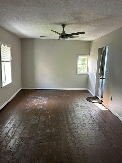 Picture 26