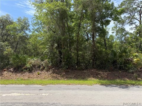 Spacious Homesite in Crystal River