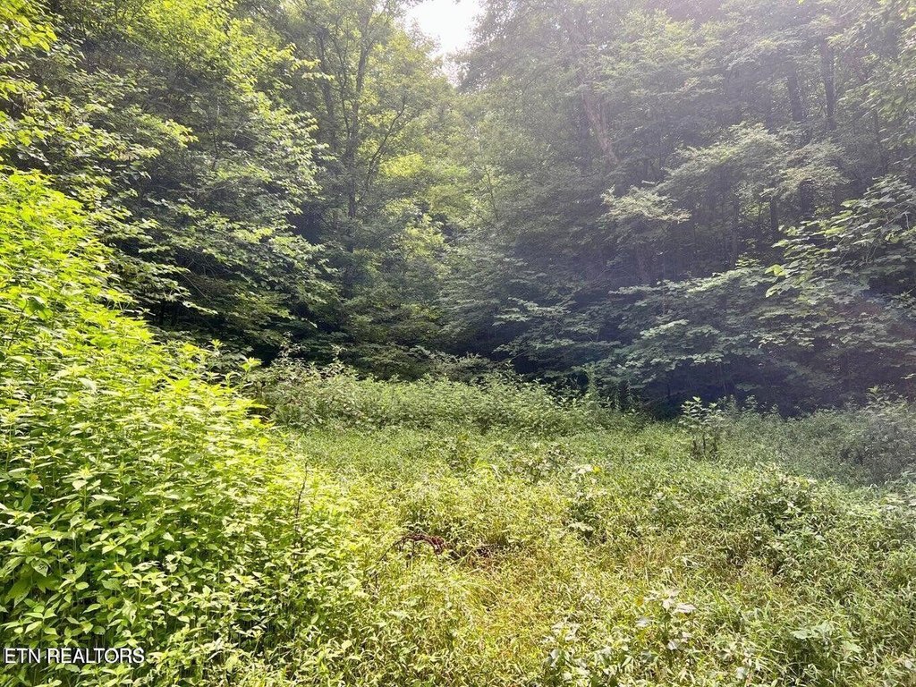 Picture 28