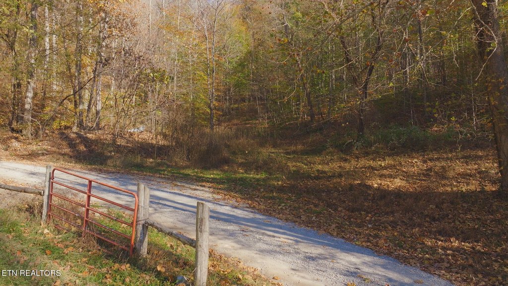 Picture 16