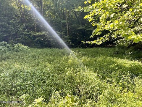 LAND - Tazewell, TN