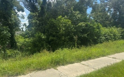 Vacant Land, Dowling Park, FL
