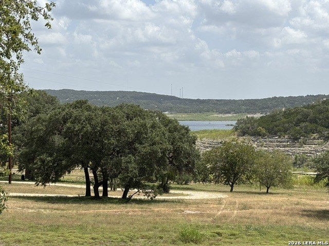 Picture 39
