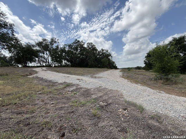 Picture 38