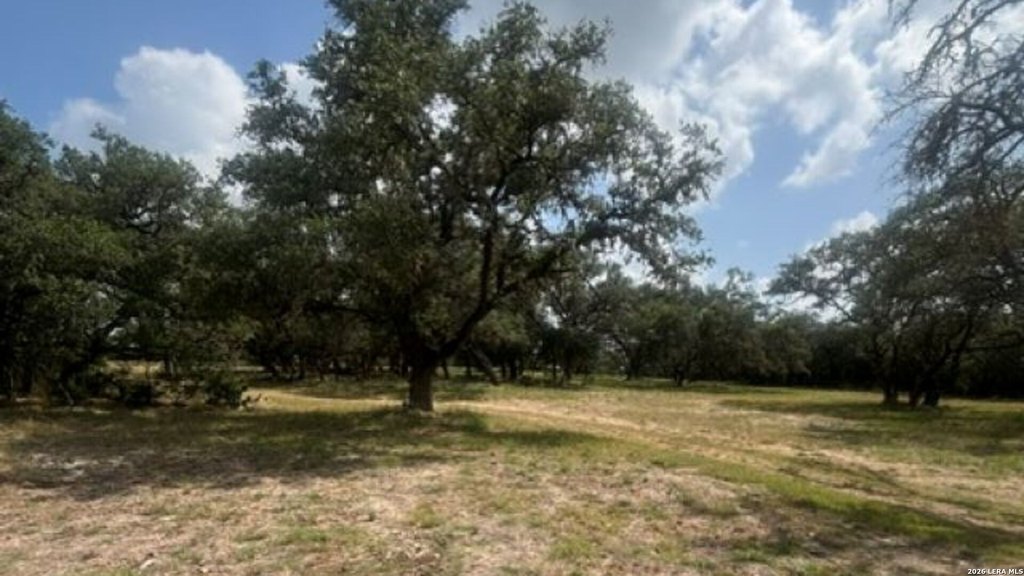 Picture 35