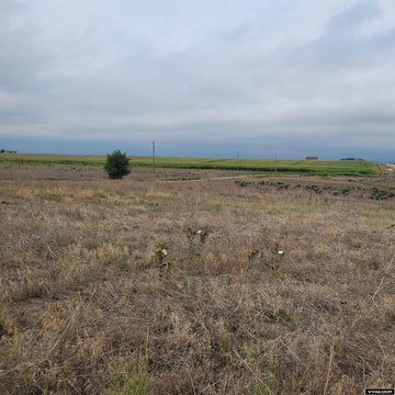 LAND - Torrington, WY