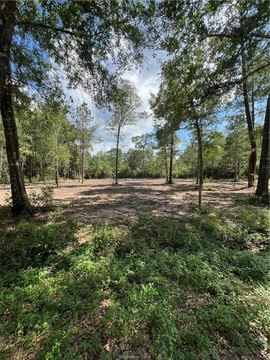 Plantersville Land for Residential Development