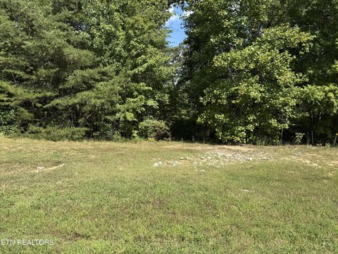 Lots & Acreage, Jamestown, TN