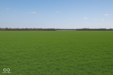 Light Industrial Commercial Land