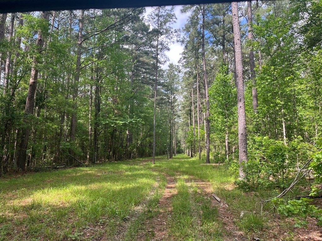 Picture 18