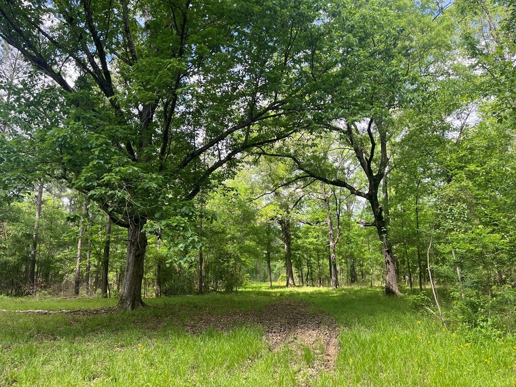 Picture 17