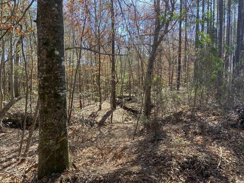 Texarkana Land For Sale