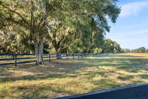 Equine-Suitable Lot Near Preserve