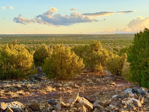 Picture of Land at Acres 5, Show Low, AZ
