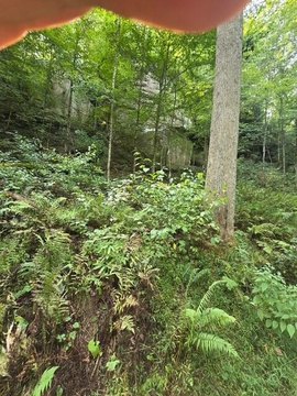 Land, Zoe, KY