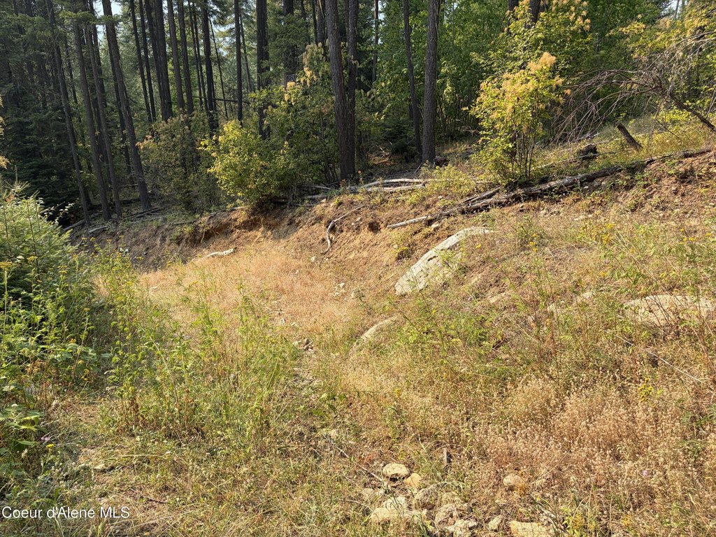 Picture 29