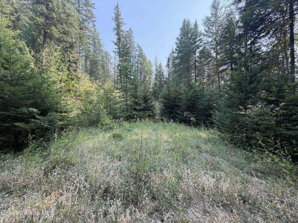 Picture 30