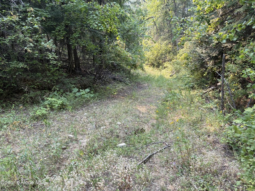 Picture 26