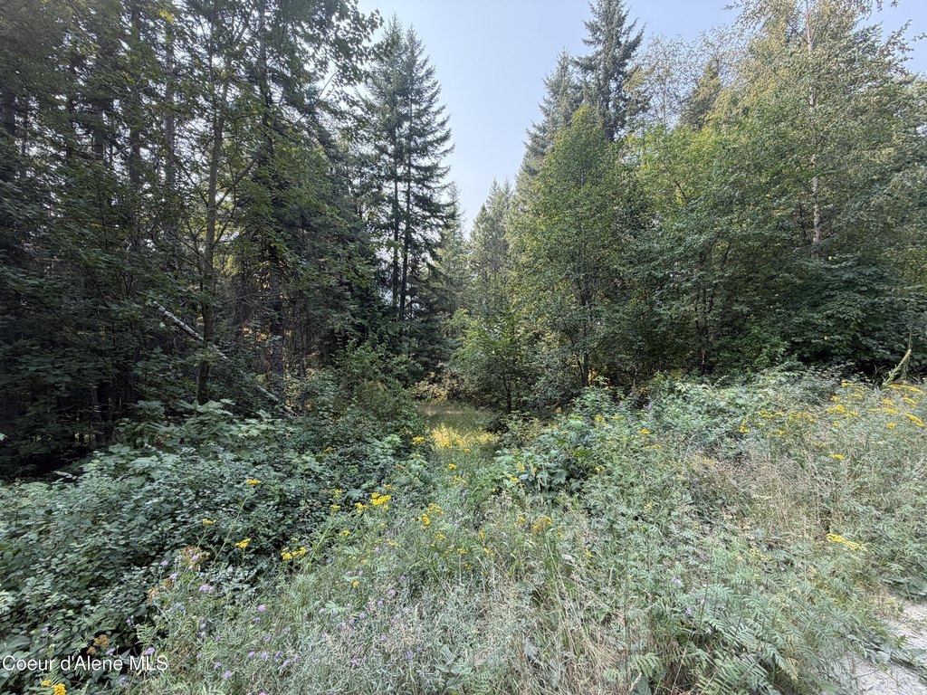 Picture 23