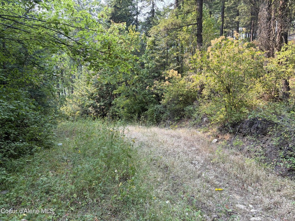 Picture 25