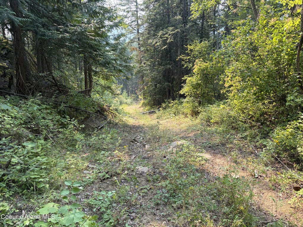 Picture 27