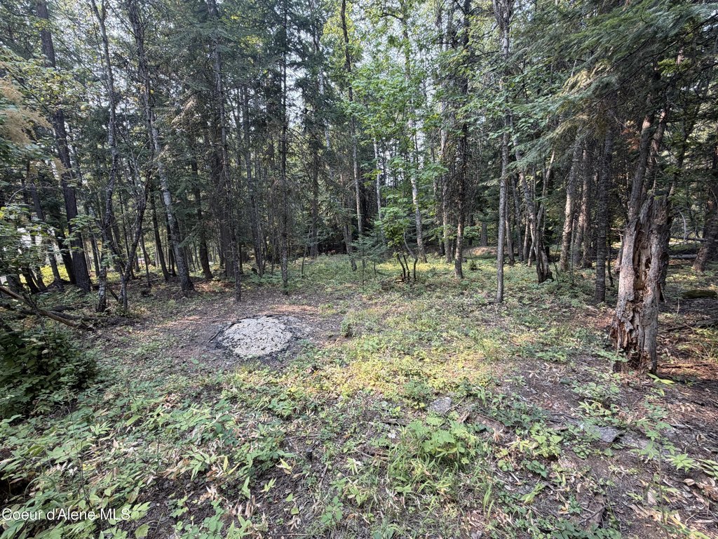 Picture 24