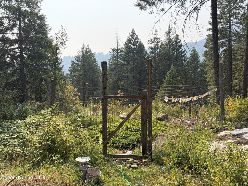 Picture 19