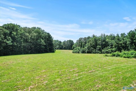 31 Acres in Hartselle, AL