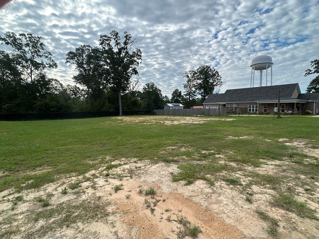 Picture 9