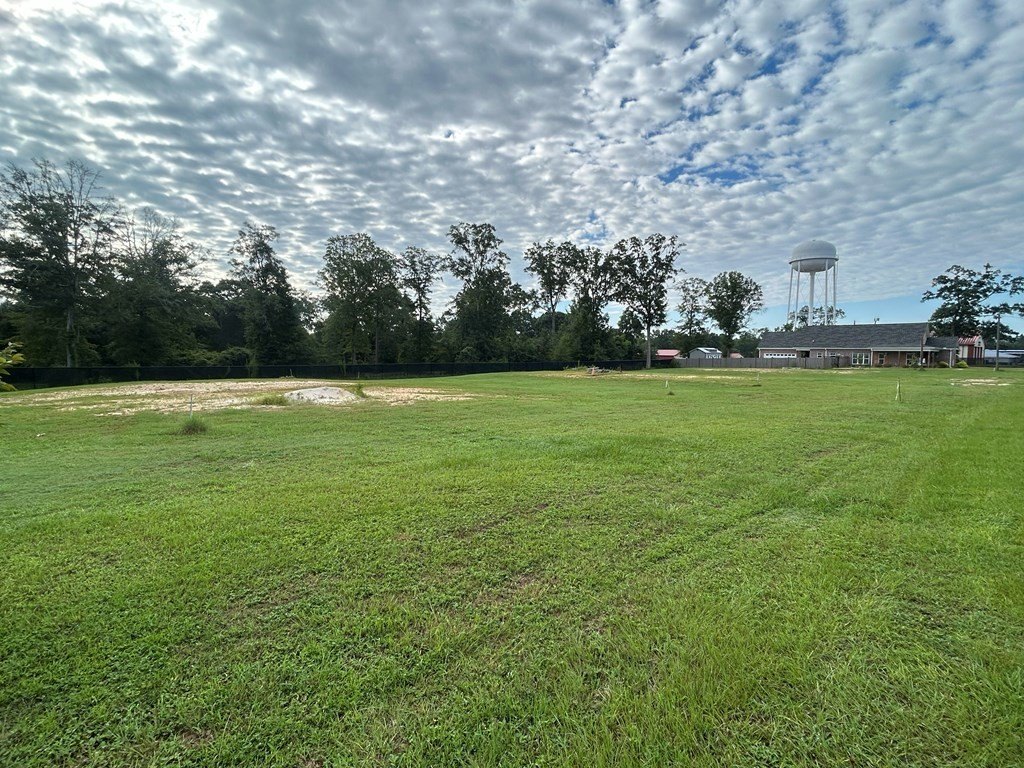 Picture 14