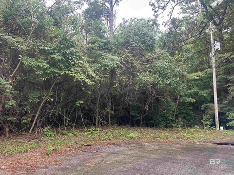 Saraland Land Near I-65