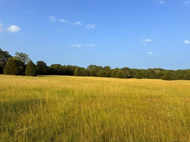Picture 29