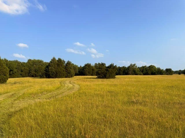 Picture 25