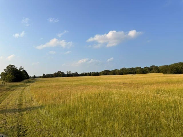 Picture 27