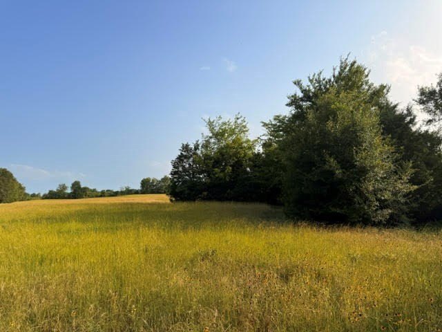 Picture 26