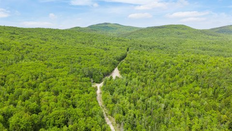 Wooded Land Parcel