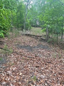 Ranger, GA Land For Sale