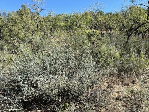 Lake Brownwood Unimproved Land Lot