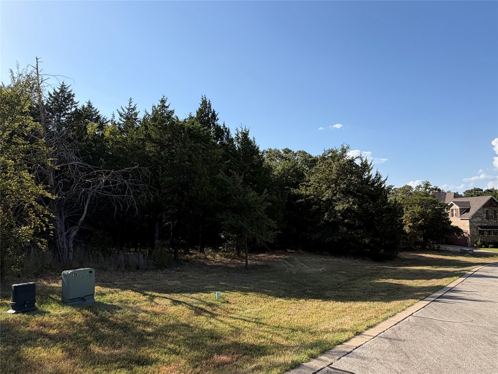 Picture 25