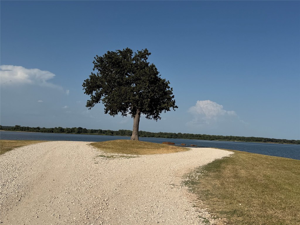 Picture 24