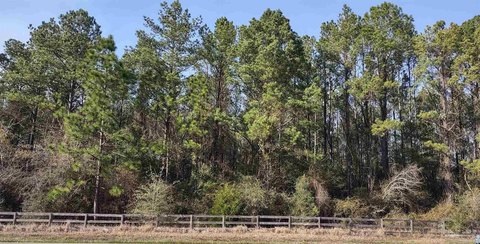 Residential Land in Atmore, Alabama