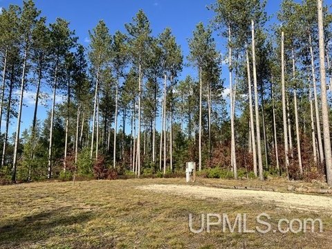 VACANT LAND, Pembine T-WI, WI