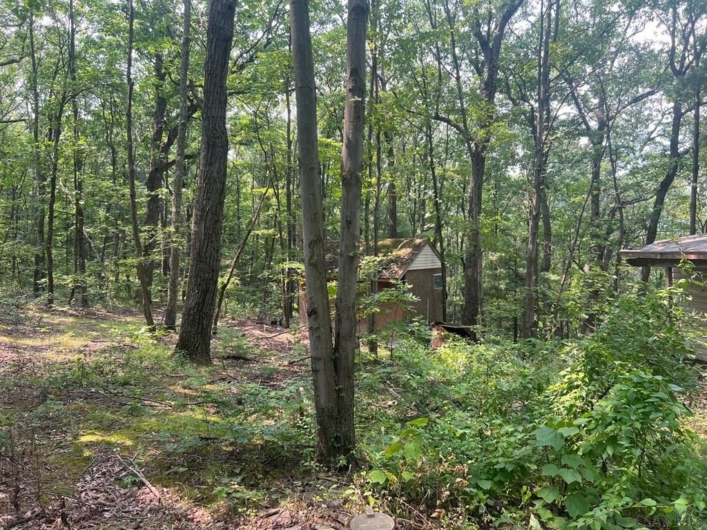 Picture 3