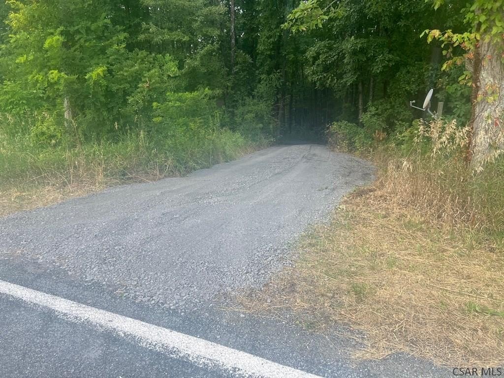 Picture 5