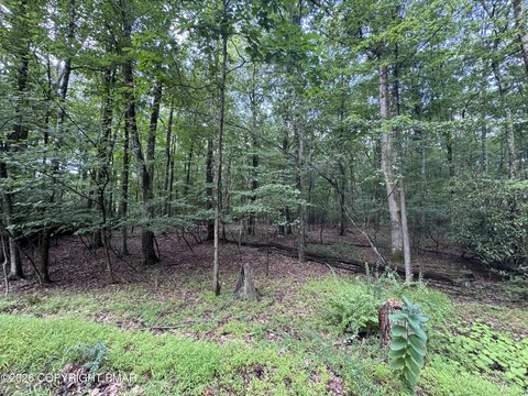 Kunkletown Land For Sale