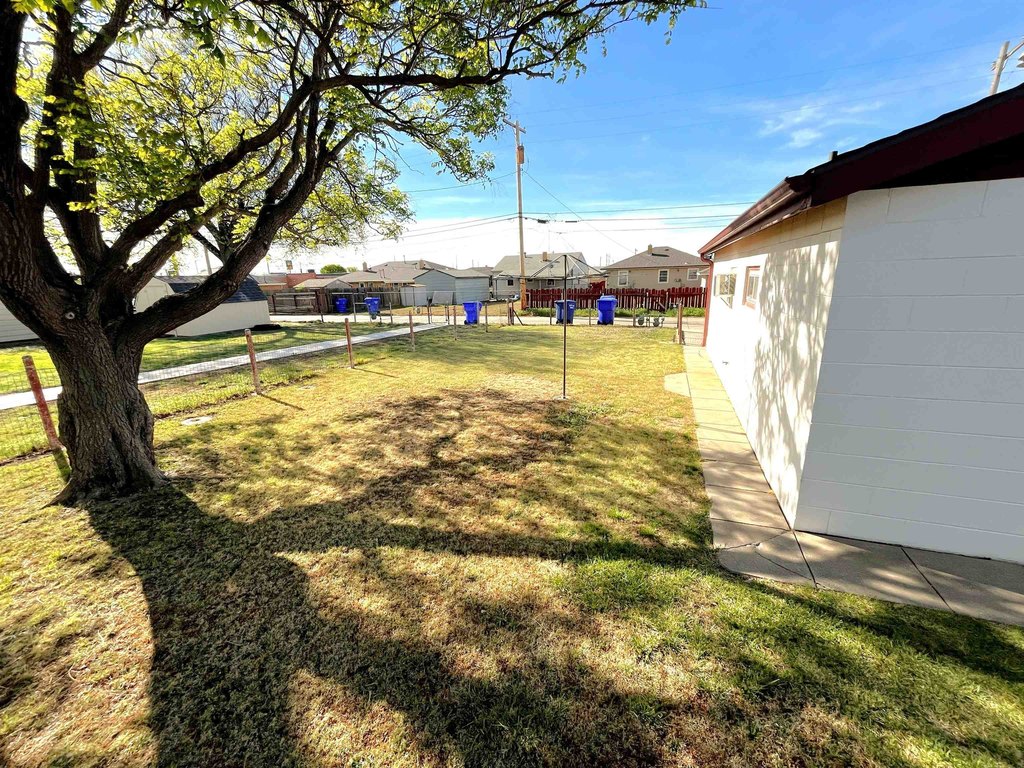 Picture 14