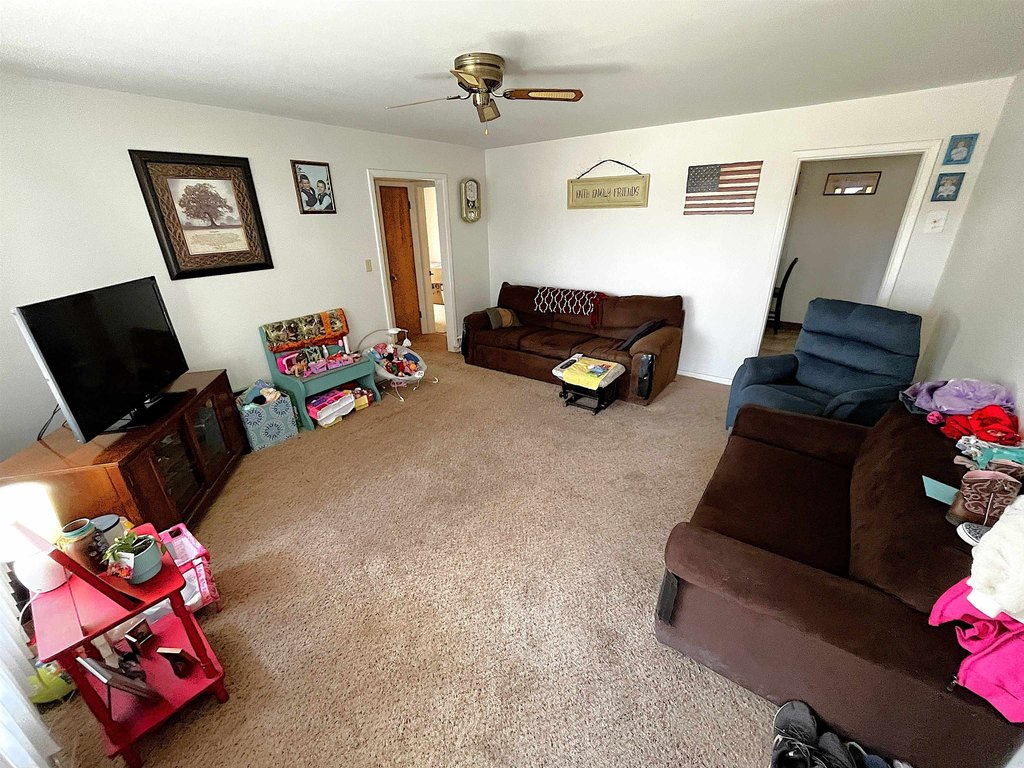 Picture 3
