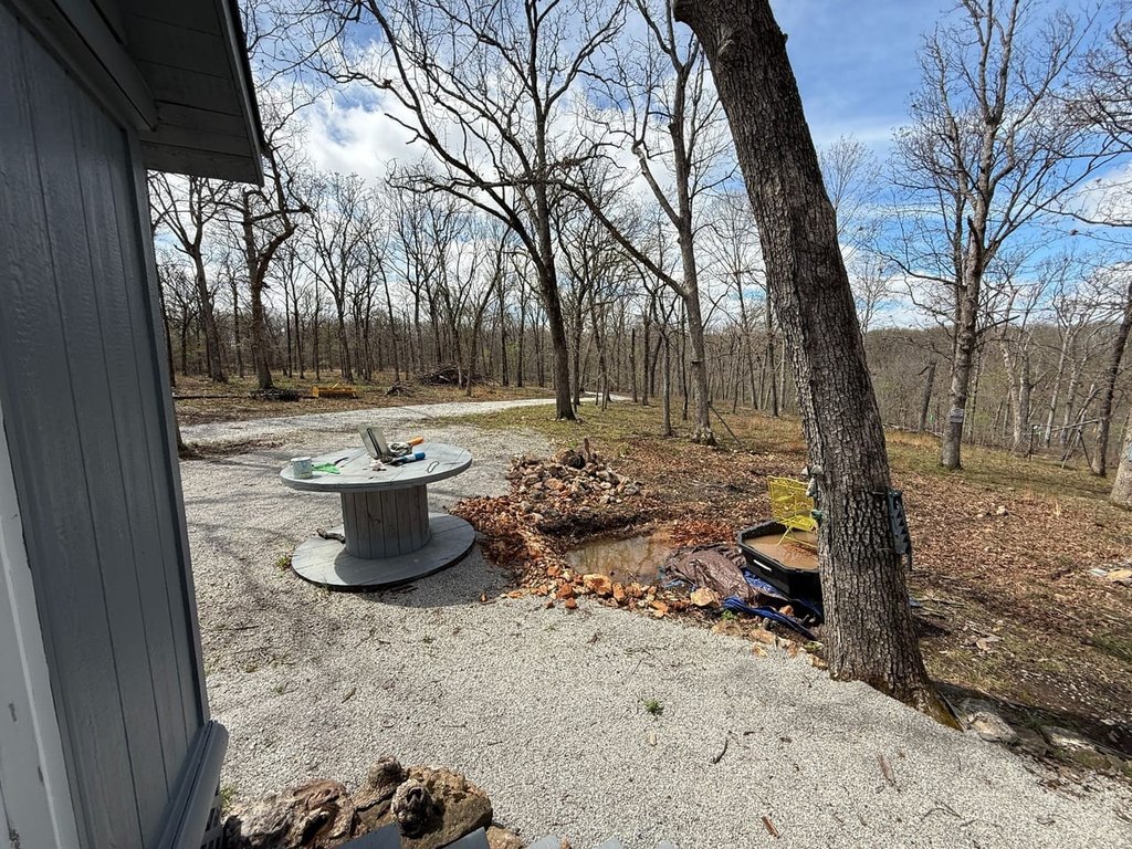 Picture 24