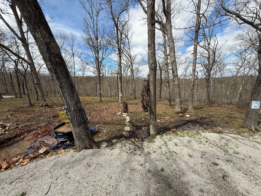 Picture 25